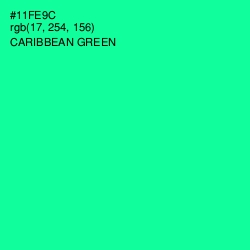 #11FE9C - Caribbean Green Color Image