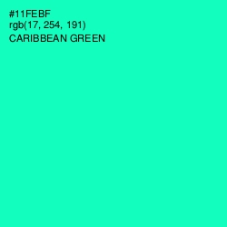 #11FEBF - Caribbean Green Color Image