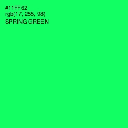 #11FF62 - Spring Green Color Image