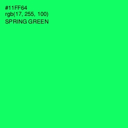#11FF64 - Spring Green Color Image