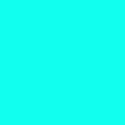 #11FFEE - Cyan / Aqua Color Image