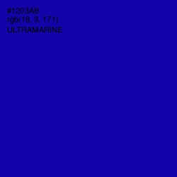 #1203AB - Ultramarine Color Image