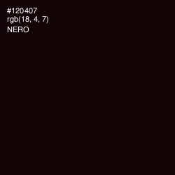 #120407 - Nero Color Image