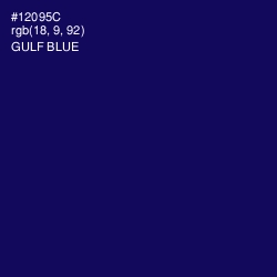 #12095C - Gulf Blue Color Image