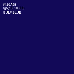 #120A58 - Gulf Blue Color Image