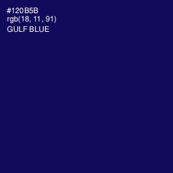 #120B5B - Gulf Blue Color Image