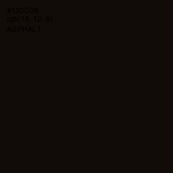 #120C08 - Asphalt Color Image