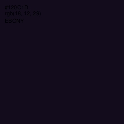 #120C1D - Ebony Color Image