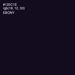 #120C1E - Ebony Color Image