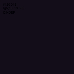 #120D19 - Cinder Color Image