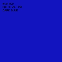 #1214C0 - Dark Blue Color Image