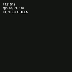 #121512 - Hunter Green Color Image