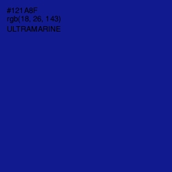 #121A8F - Ultramarine Color Image