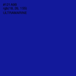 #121A9B - Ultramarine Color Image