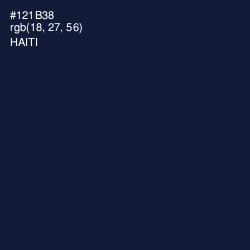 #121B38 - Haiti Color Image