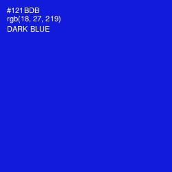 #121BDB - Dark Blue Color Image