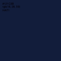 #121C3B - Haiti Color Image