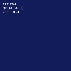 #121C5B - Gulf Blue Color Image