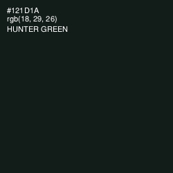 #121D1A - Hunter Green Color Image