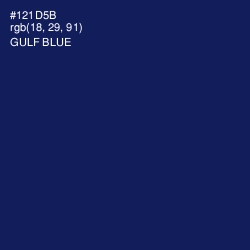 #121D5B - Gulf Blue Color Image