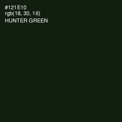 #121E10 - Hunter Green Color Image