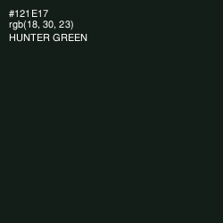 #121E17 - Hunter Green Color Image