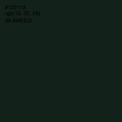 #12211A - Seaweed Color Image