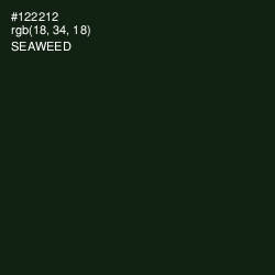 #122212 - Seaweed Color Image