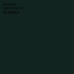 #12241F - Seaweed Color Image