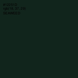 #12251D - Seaweed Color Image