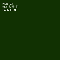 #123103 - Palm Leaf Color Image