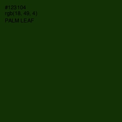 #123104 - Palm Leaf Color Image