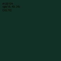 #123124 - Celtic Color Image