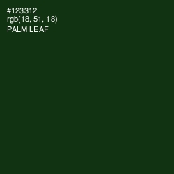 #123312 - Palm Leaf Color Image