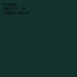 #12332E - Timber Green Color Image