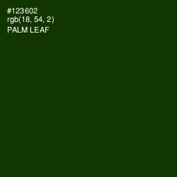 #123602 - Palm Leaf Color Image
