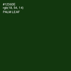 #12360E - Palm Leaf Color Image
