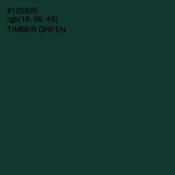 #12382E - Timber Green Color Image