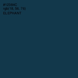 #12384C - Elephant Color Image