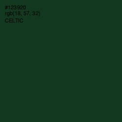 #123920 - Celtic Color Image