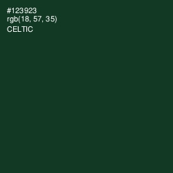 #123923 - Celtic Color Image