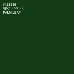 #123B16 - Palm Leaf Color Image