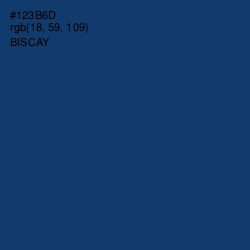 #123B6D - Biscay Color Image