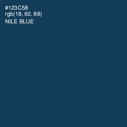 #123C58 - Nile Blue Color Image