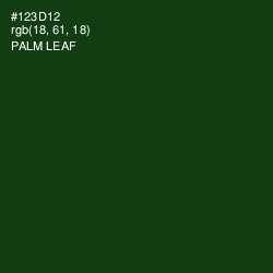 #123D12 - Palm Leaf Color Image