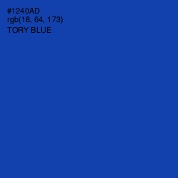 #1240AD - Tory Blue Color Image