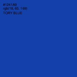 #1241A9 - Tory Blue Color Image