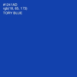#1241AD - Tory Blue Color Image
