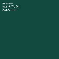 #124A40 - Aqua Deep Color Image