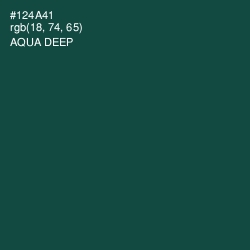 #124A41 - Aqua Deep Color Image